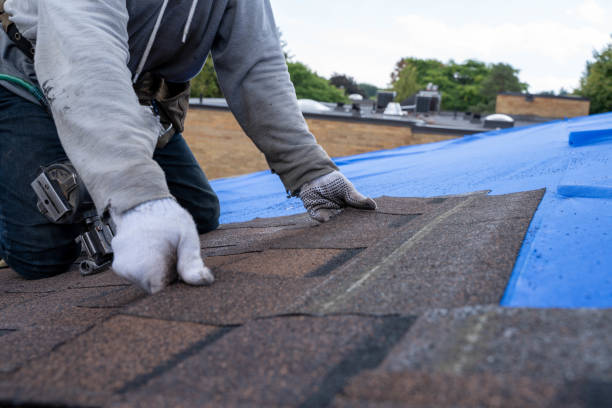 Best Gutter Installation and Roofing  in Walnut Grove, GA